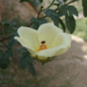 Meet your Posher, Long